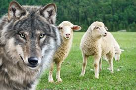 Il lupo e l'agnello - Esopo
